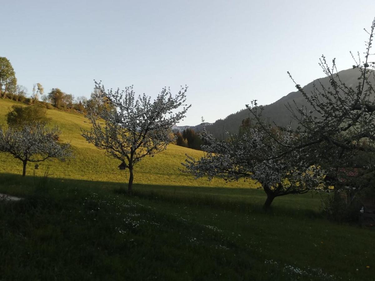 Pension Woetzinghof Kirchberg in Tirol Exterior photo