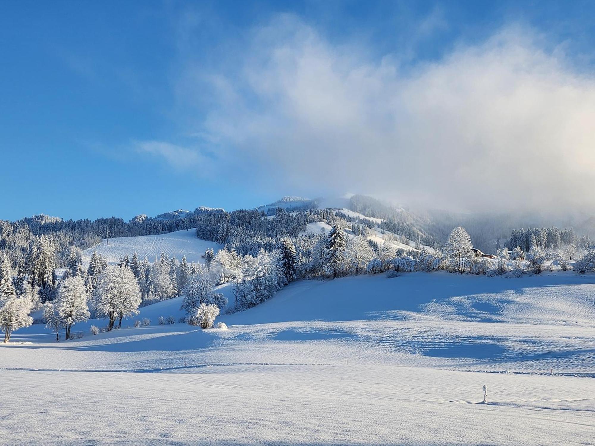 Pension Woetzinghof Kirchberg in Tirol Exterior photo