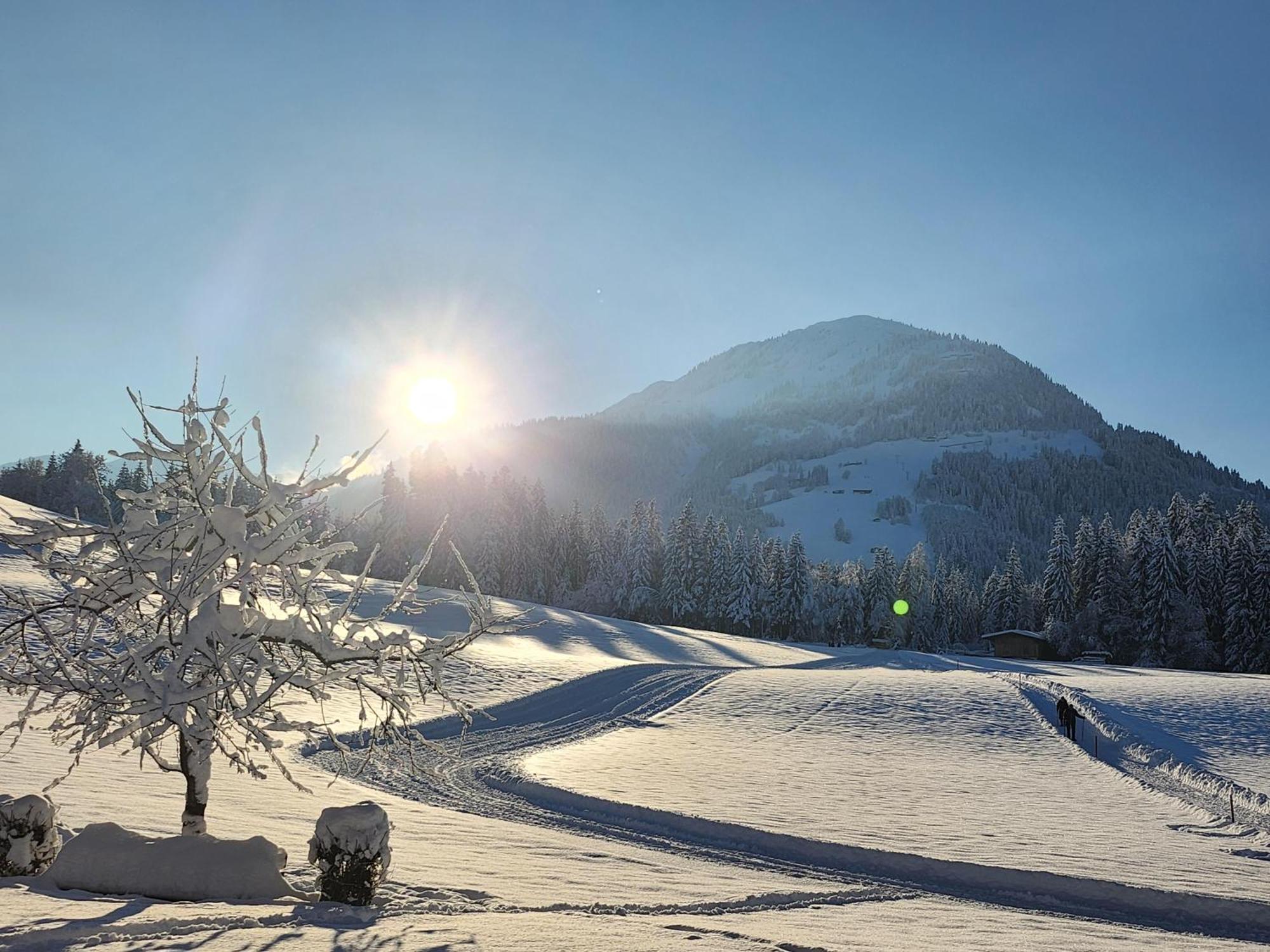 Pension Woetzinghof Kirchberg in Tirol Exterior photo