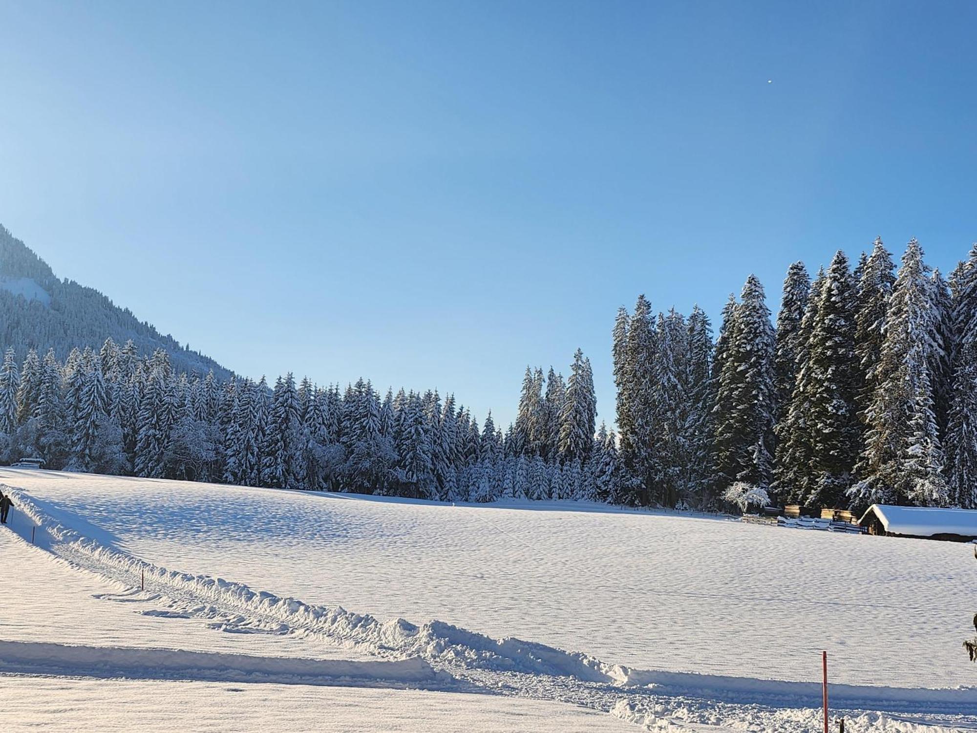 Pension Woetzinghof Kirchberg in Tirol Exterior photo